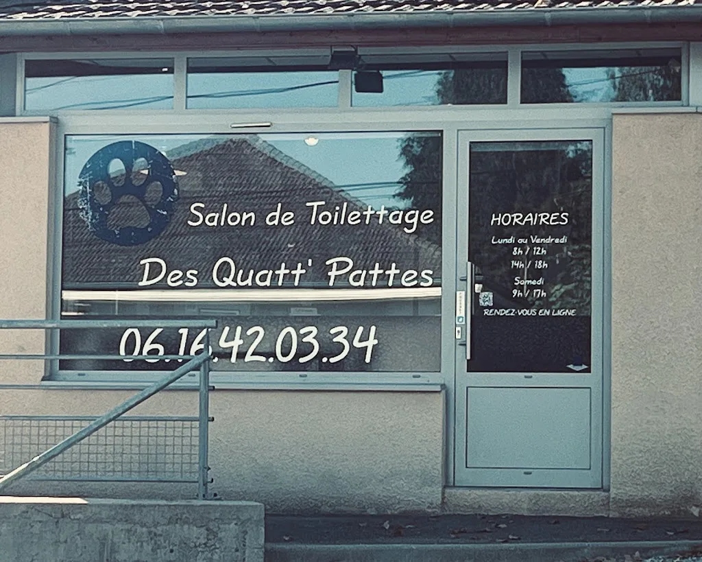 Salon de Toilettage Des Quatt'Pattes - photo 1