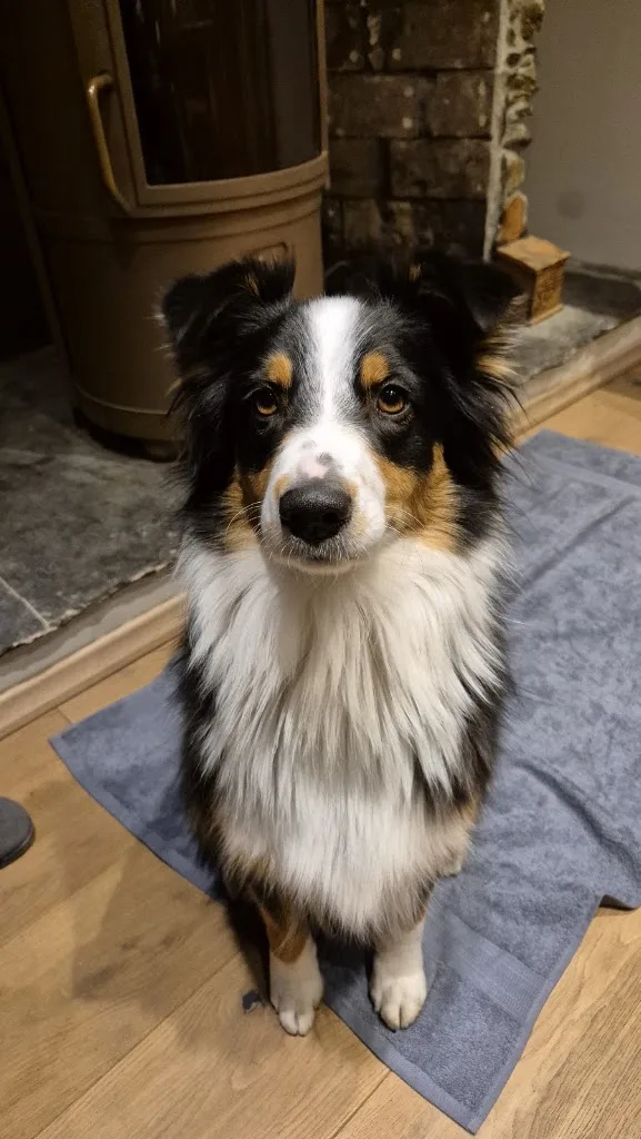 2bons poils - photo 2