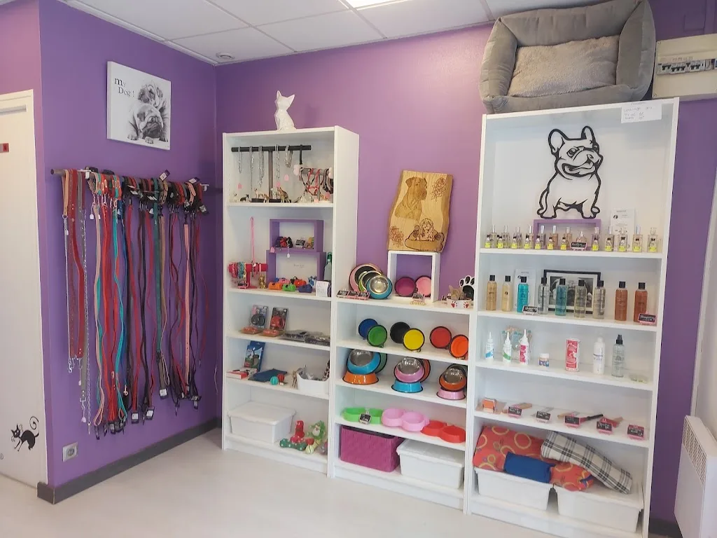 ATELIER du TOILETTAGE - photo 1