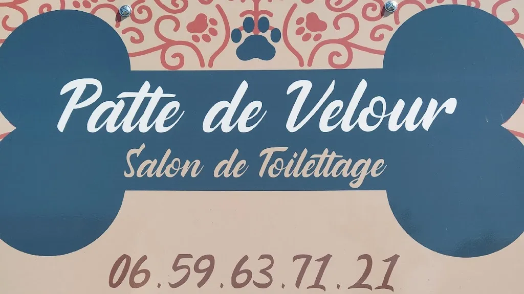 Patte de velour - photo 1
