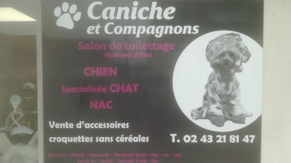 Le Chien Beaute - photo 3