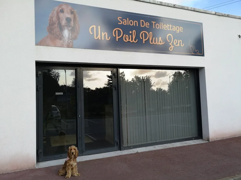 Salon de toilettage Un poil plus zen - photo 2