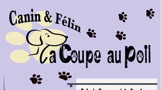 La Coupe au Poil - photo 3