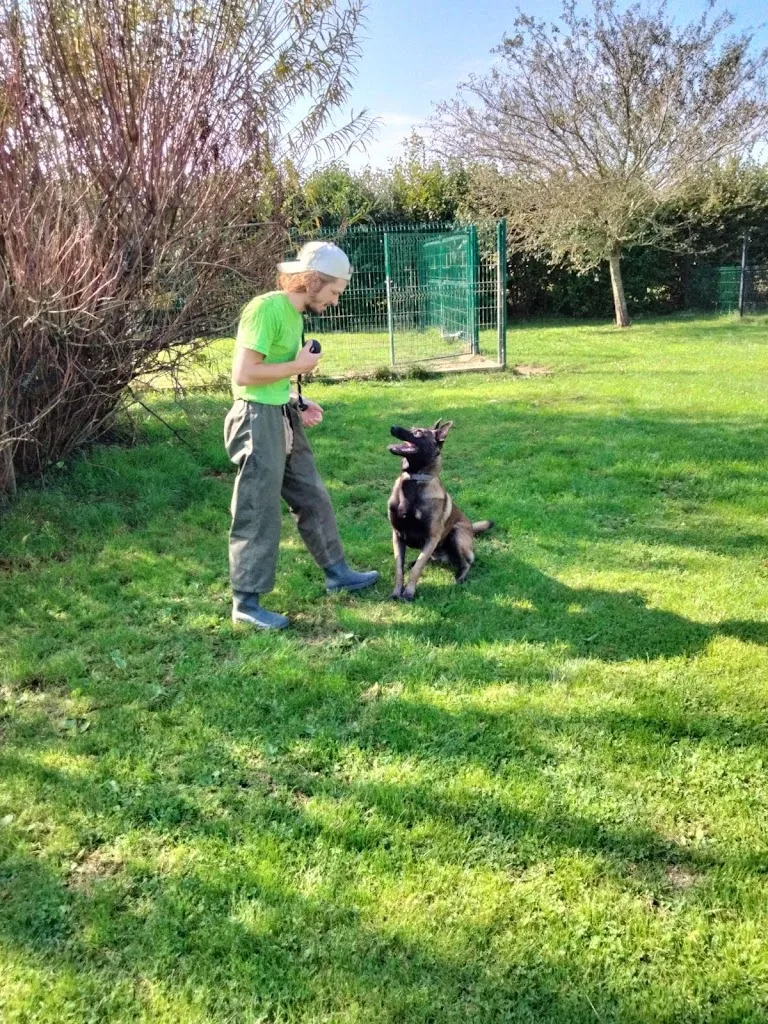Comme à la maison Pension canine familiale - photo 1