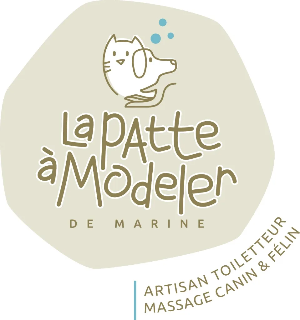 La patte à modeler de Marine - photo 2