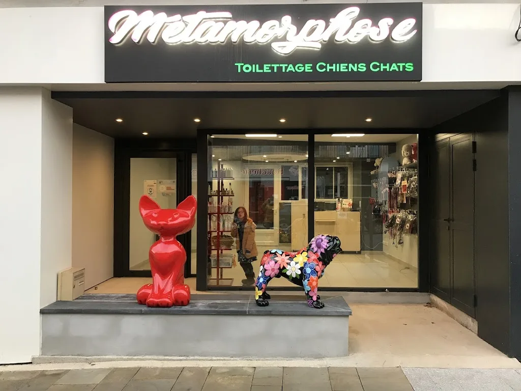 Metamorphose Toilettage - photo 2