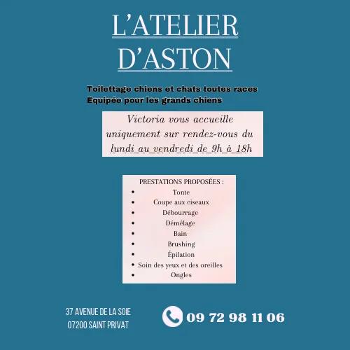 Salon de toilettage L'Atelier d'Aston - photo 3