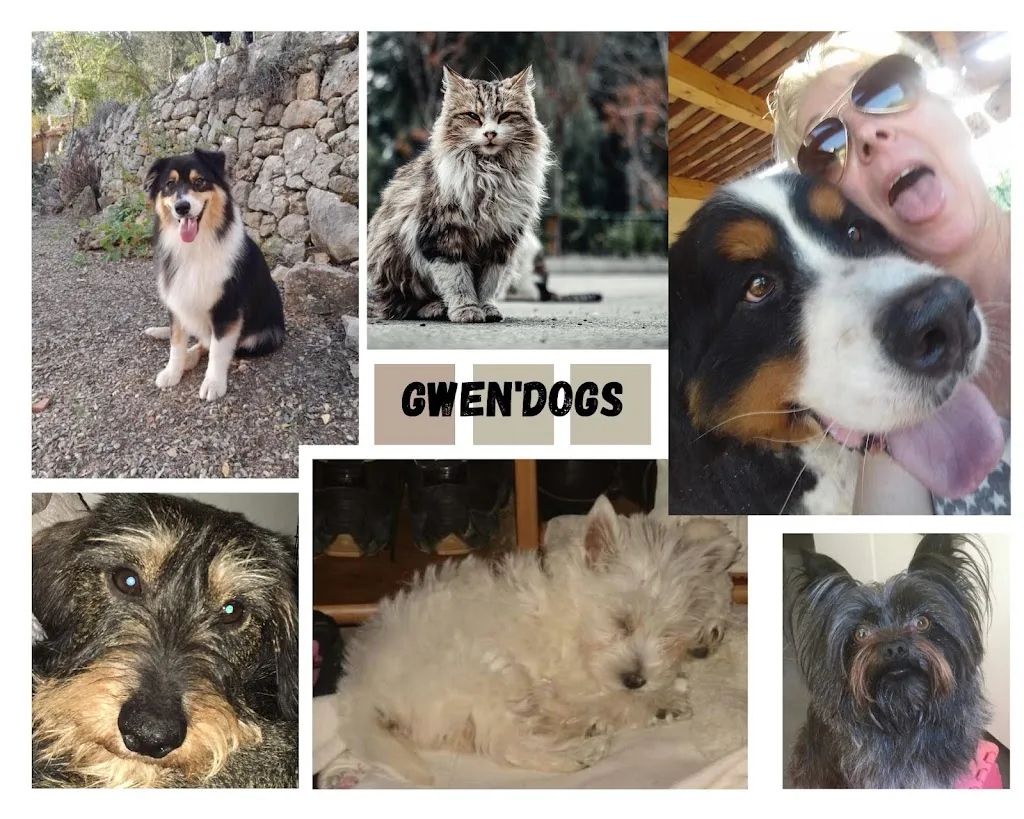Gwen'Dogs - photo 1