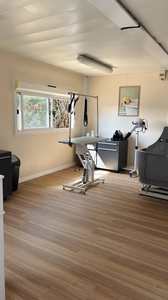 Atelier Jolie Patte - photo 2