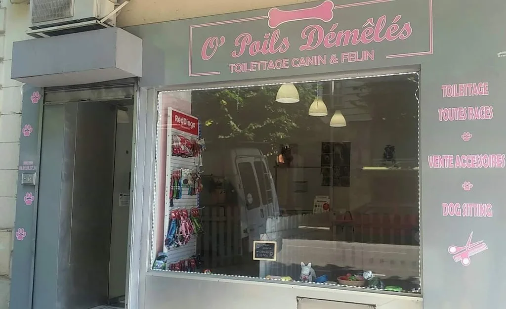 O'Poils Démêlés - photo 1