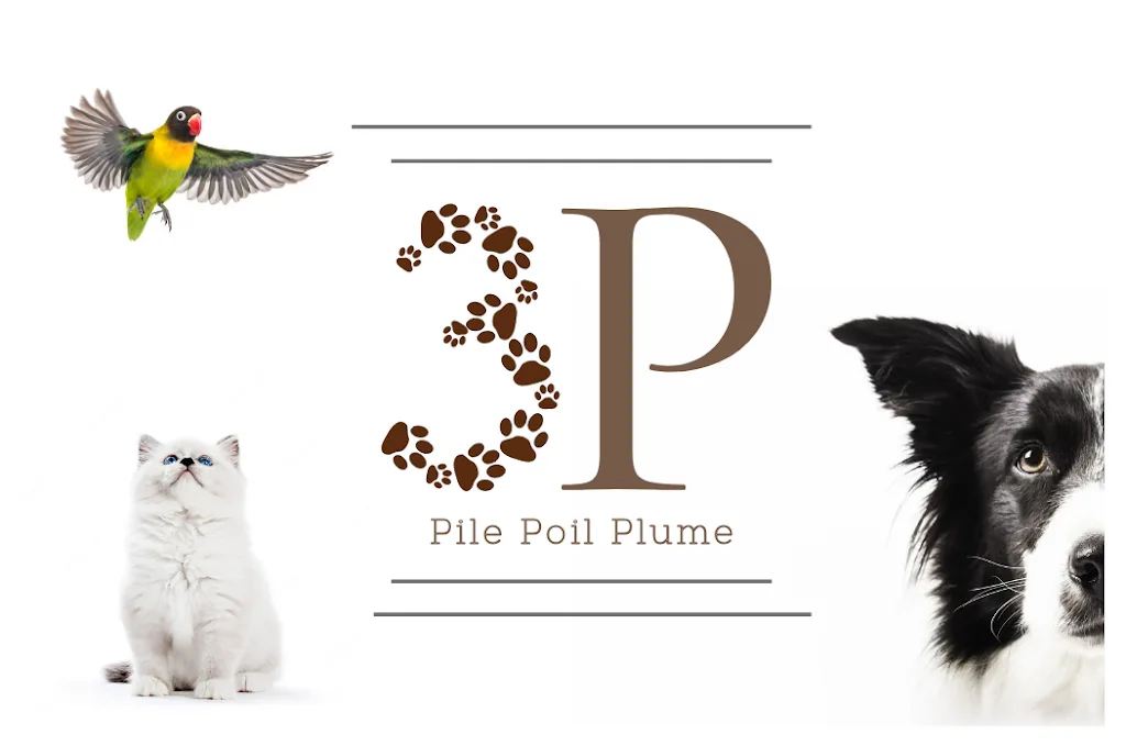 Pile Poil - photo 1