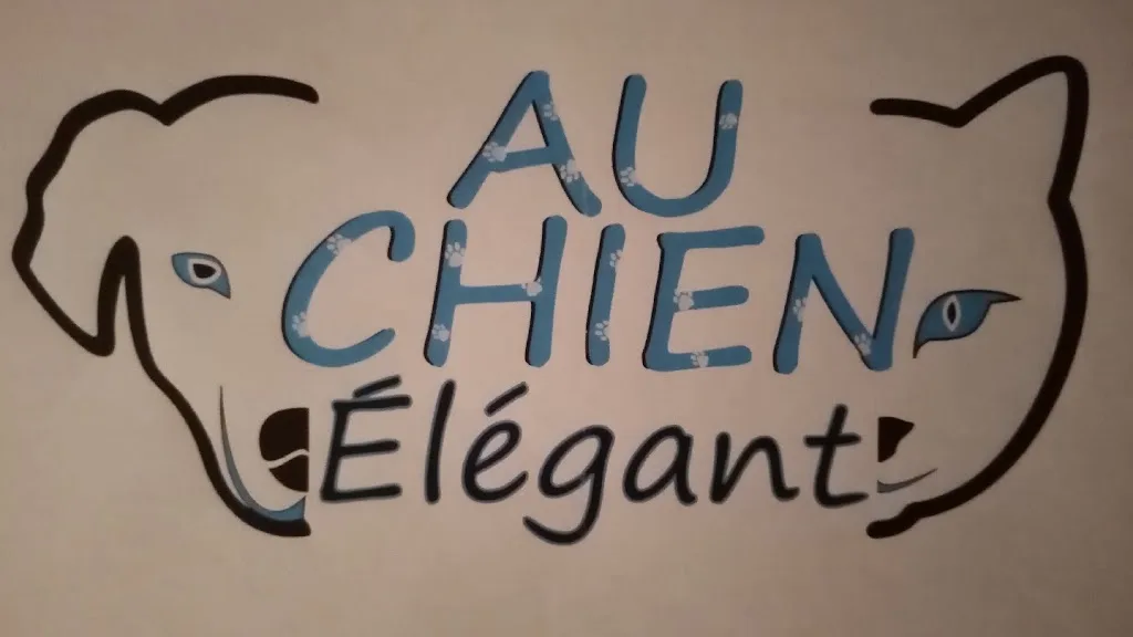 Chatoutou Toilettage à Domicile - photo 2