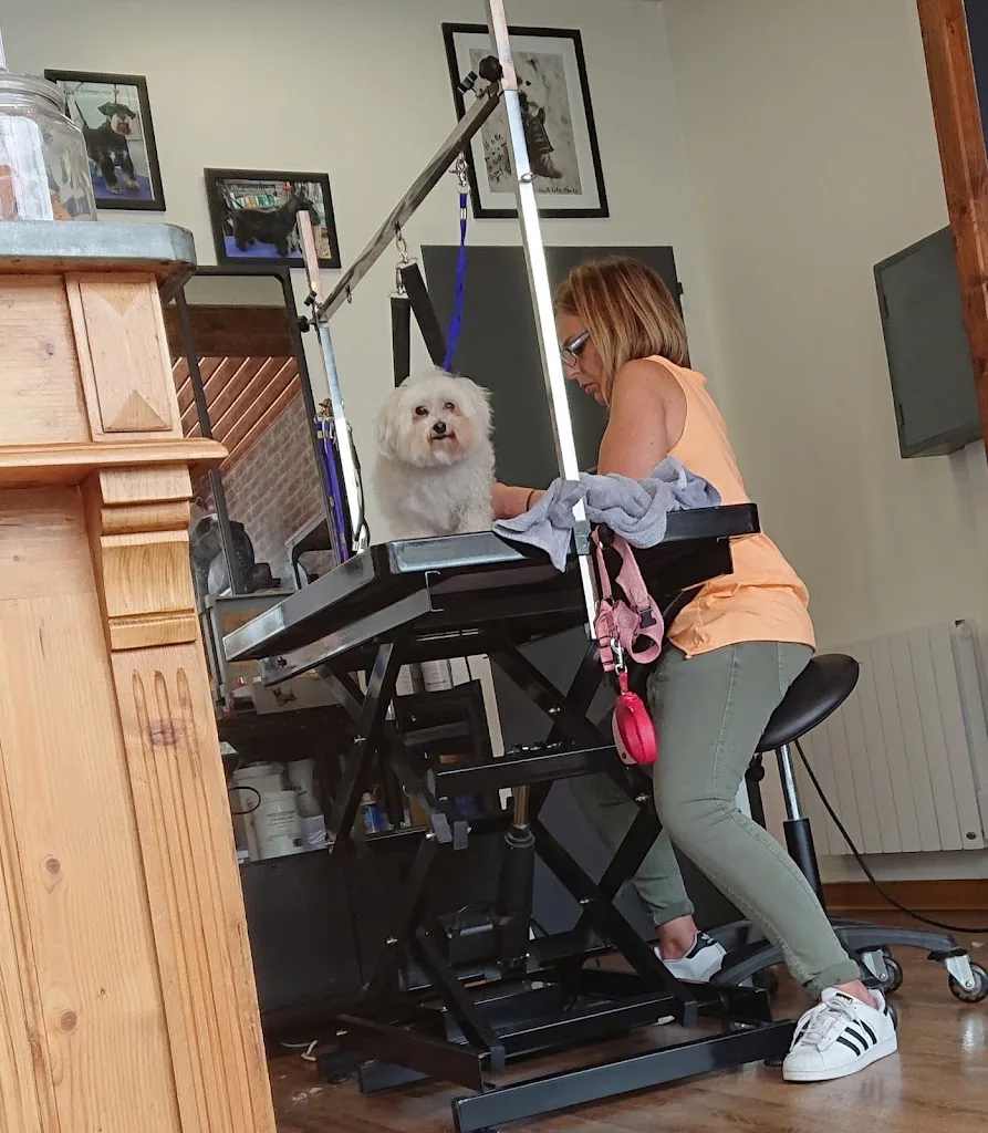 LE STYLE CANIN - photo 3