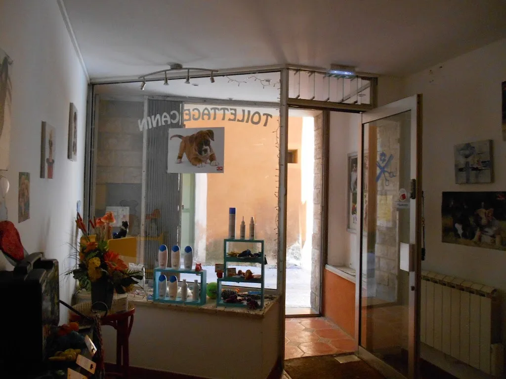 A Rebrouss' Poil - photo 1