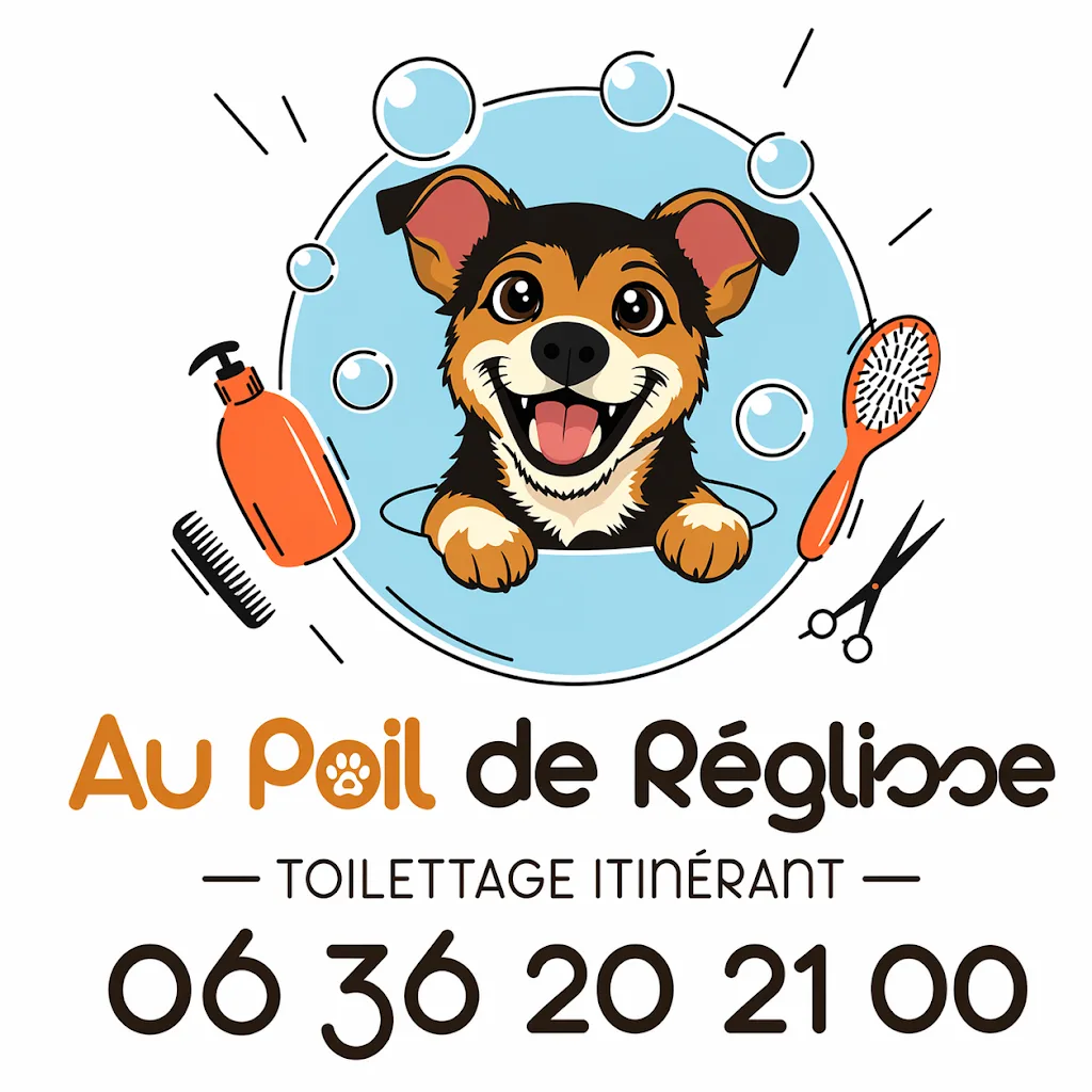 Au Poil de Réglisse - photo 1