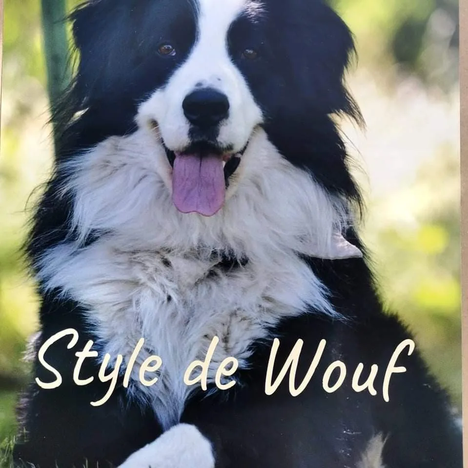 Style de Wouf - photo 2