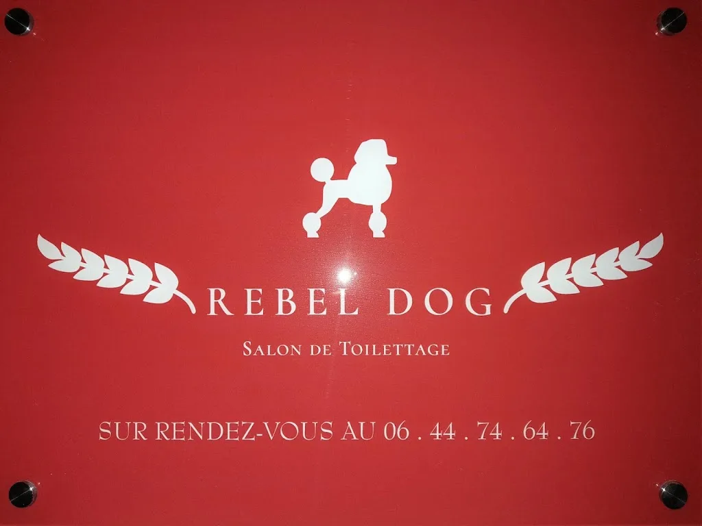 Rebel Dog Salon de Toilettage - photo 1