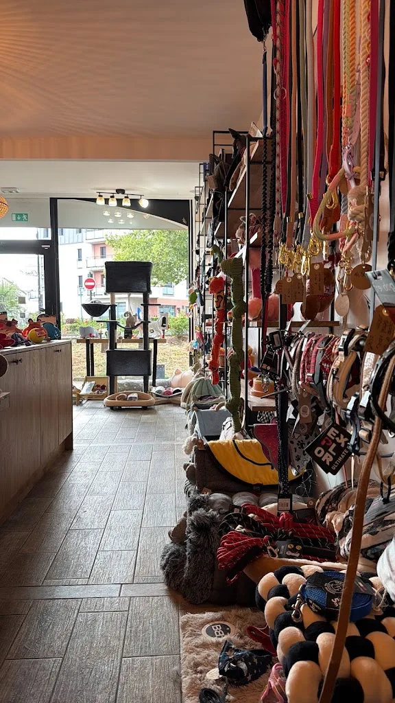 Chez Patou - photo 3