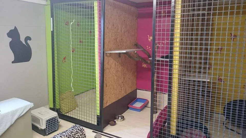 Auberge Animalière de Massacos - photo 1
