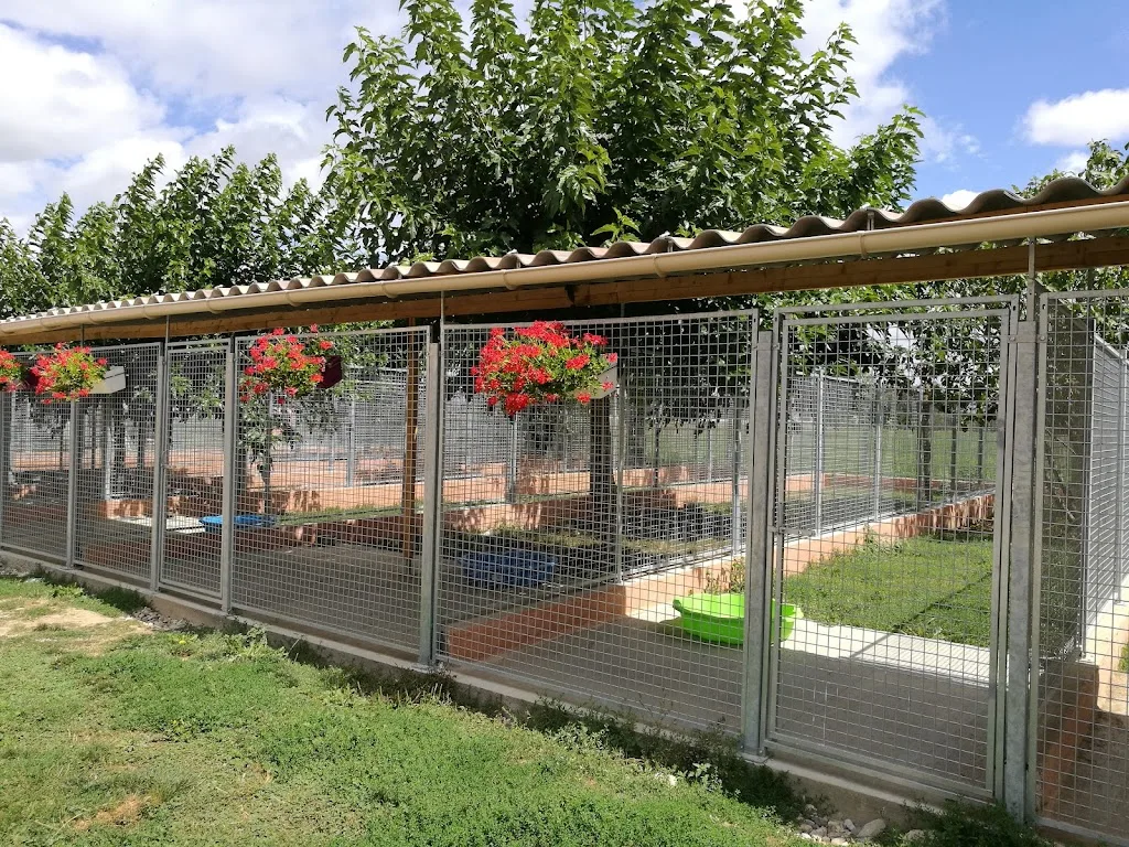 Auberge Animalière de Massacos - photo 2