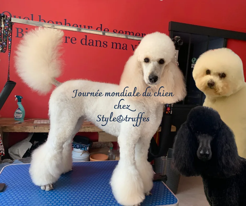 Style & truffes - photo 2