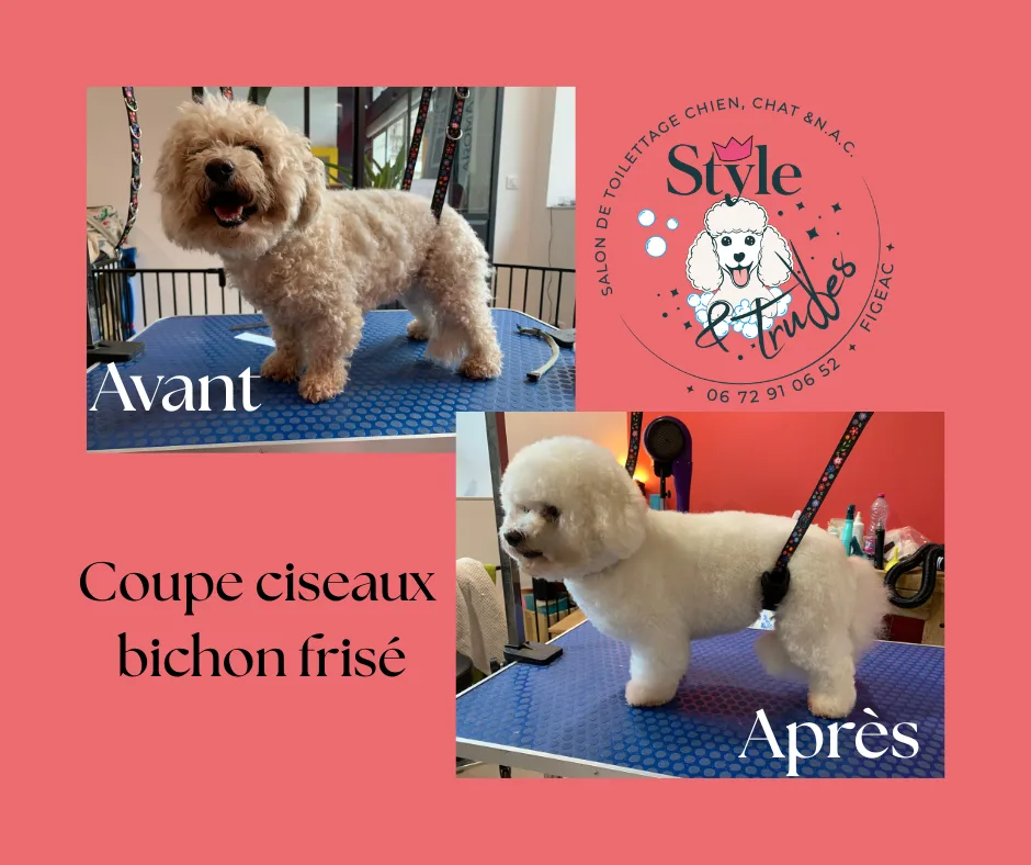 Style & truffes - photo 3