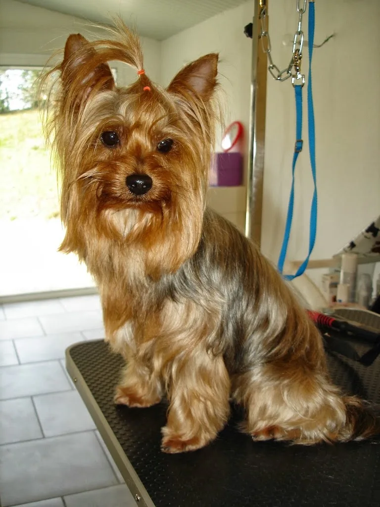 Misskcanin - photo 2