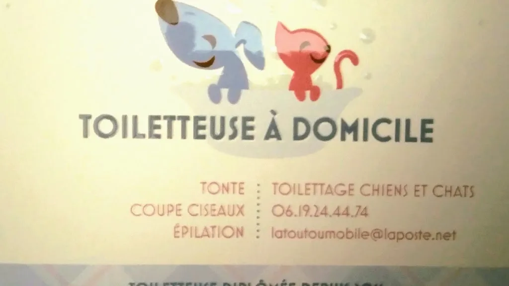 La Toutou'Mobile - photo 2
