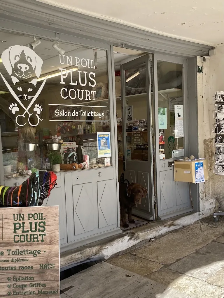O'poils d'ornela - photo 2