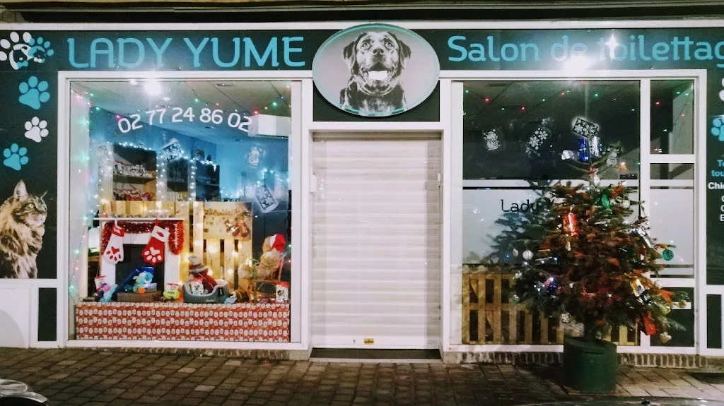 Lady Yumé - photo 2