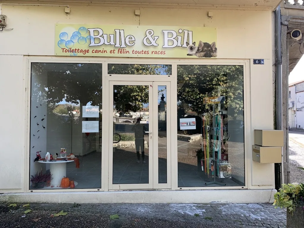 Bulles et bill - photo 2