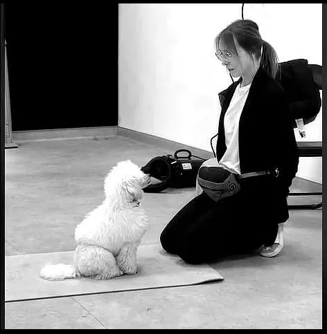 L'Escapatte - Bien-être animal - Éthique et Esthétique à domicile - photo 1