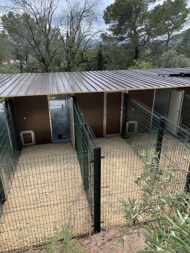 L'Escapatte - Bien-être animal - Éthique et Esthétique à domicile - photo 2