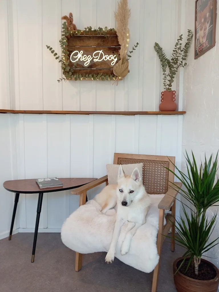 Chez Doog - photo 2
