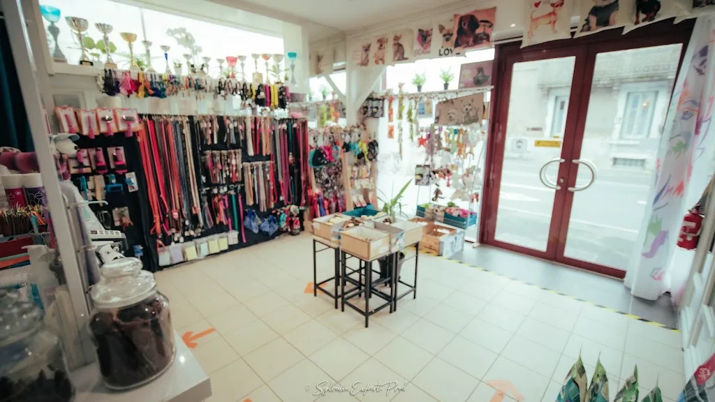 Pet's Univers - photo 1