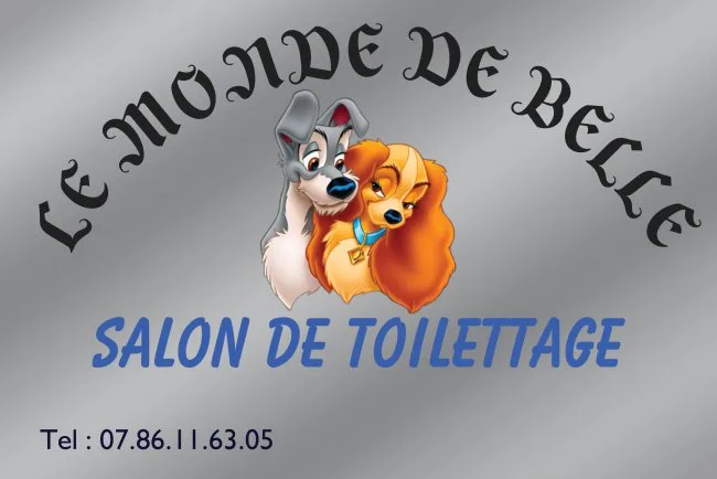 Le Monde De Belle - photo 1