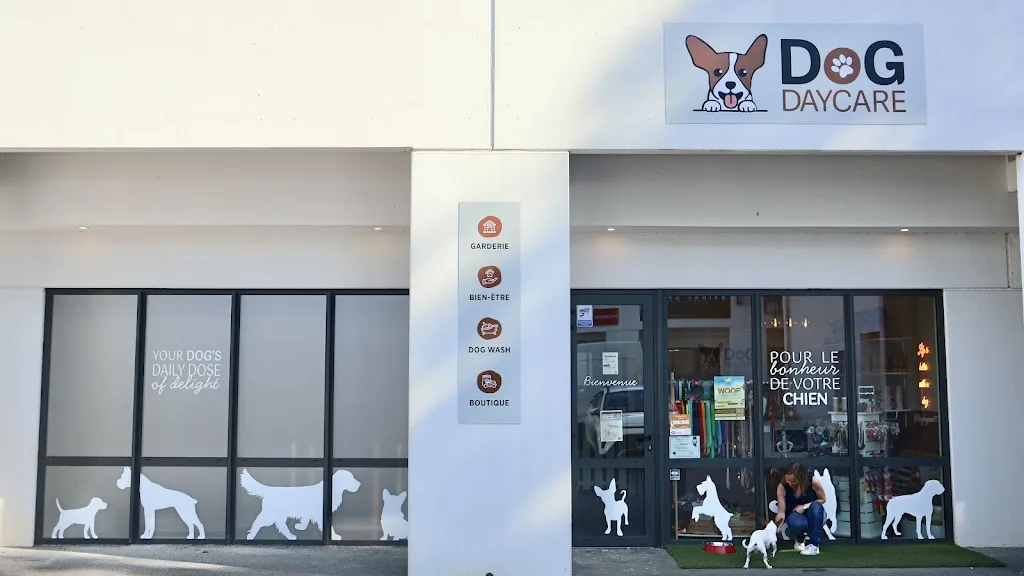 DOG DAYCARE - photo 1