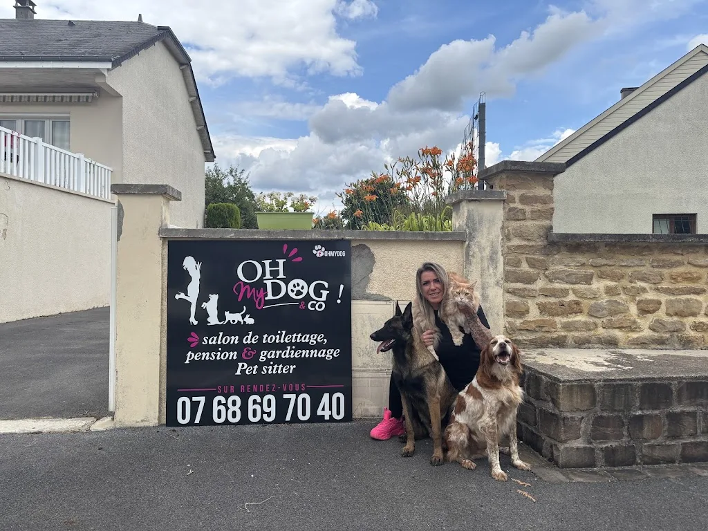 Oh my dog - photo 1
