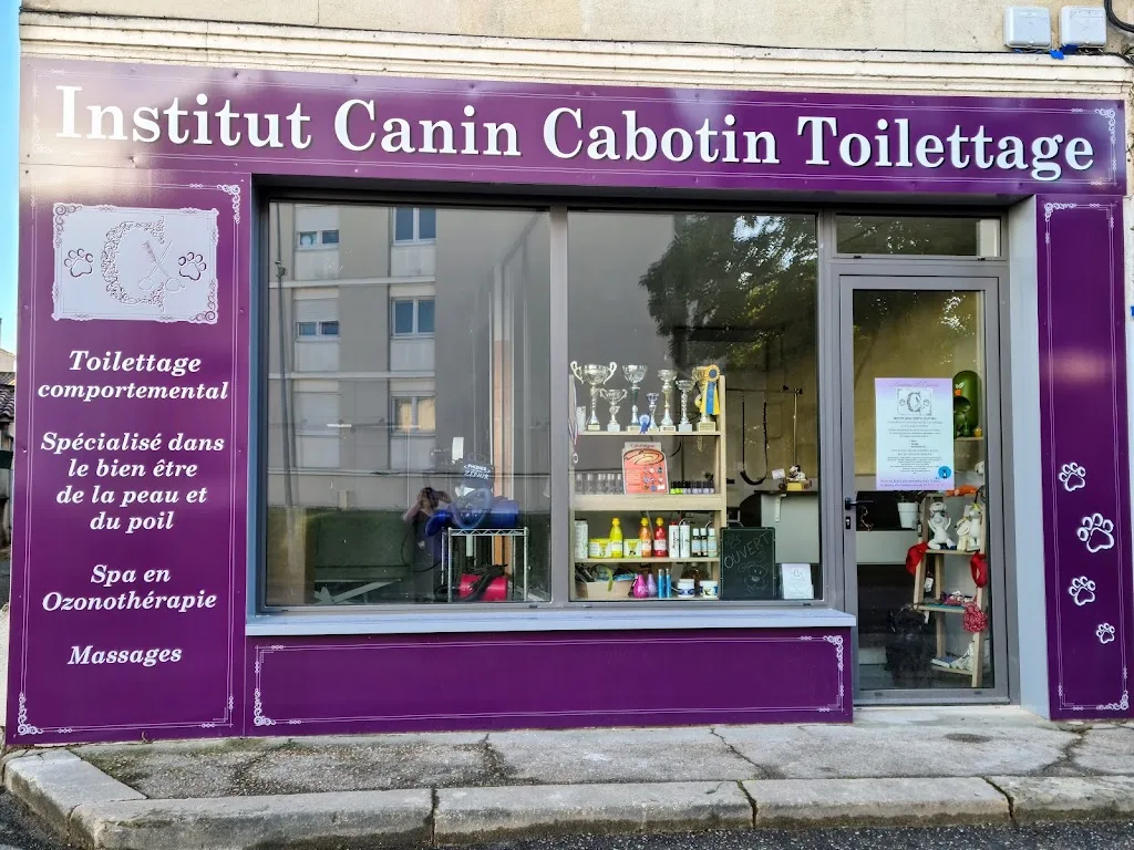 Au cabot'in toiletteur canin et félin - photo 2