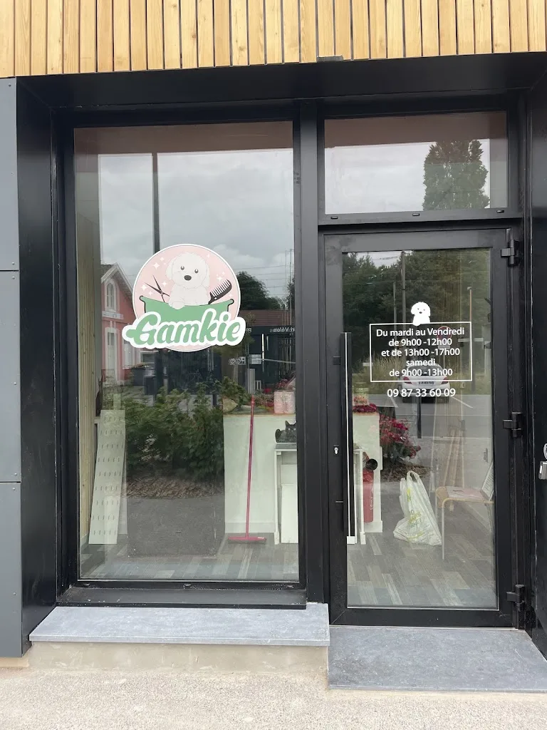 Comme Chien Et Chat - photo 1