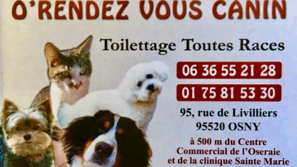Dog d'Élite - photo 2