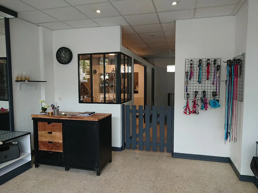 FRIMOUSSE Van Geyt Dominique - photo 2