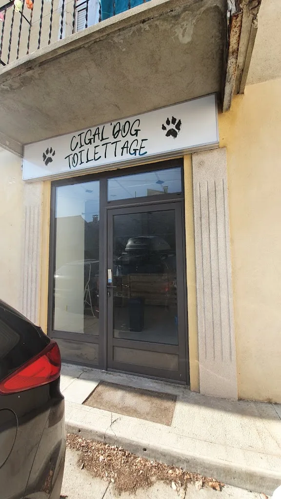 Cigal'Dog Toilettage Chiens - photo 1