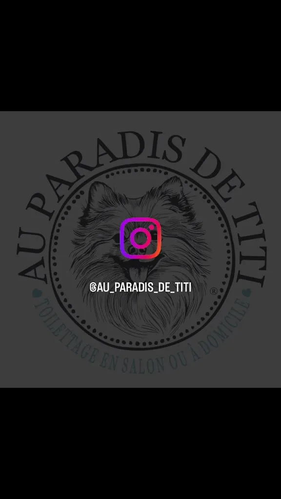 Au Paradis de Titi • Toilettage pour chien & chat - photo 2
