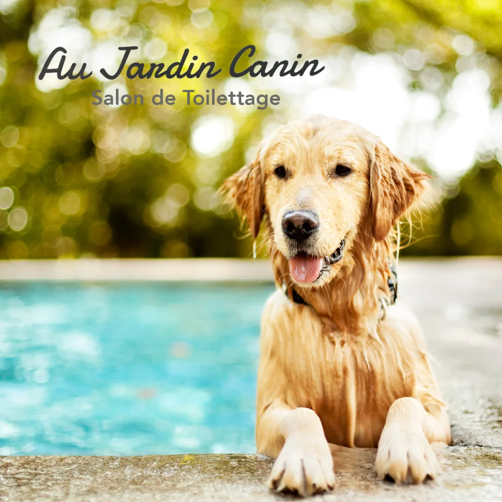 Au Jardin Canin - photo 1