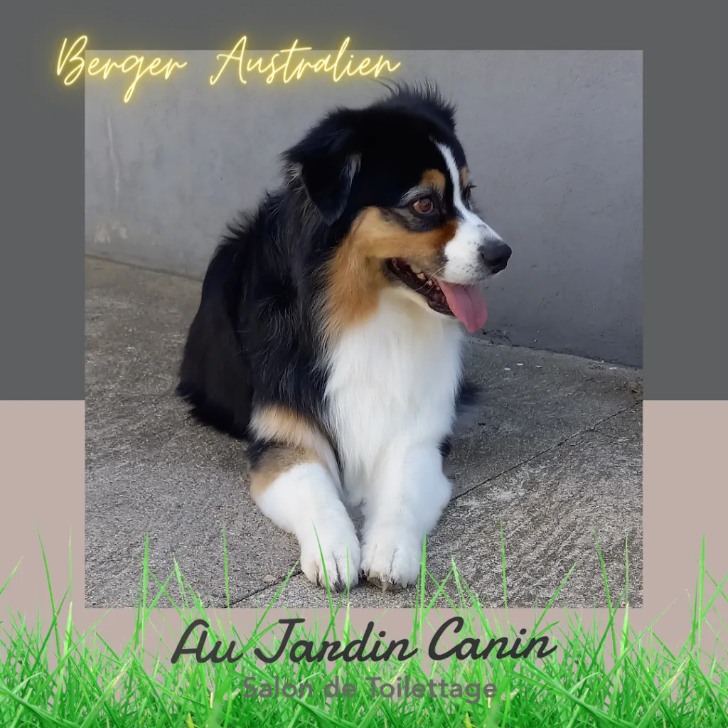 Au Jardin Canin - photo 2