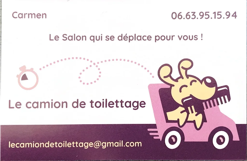 Le camion de toilettage/Boule de poil, le salon qui se déplace pour vous! - photo 2