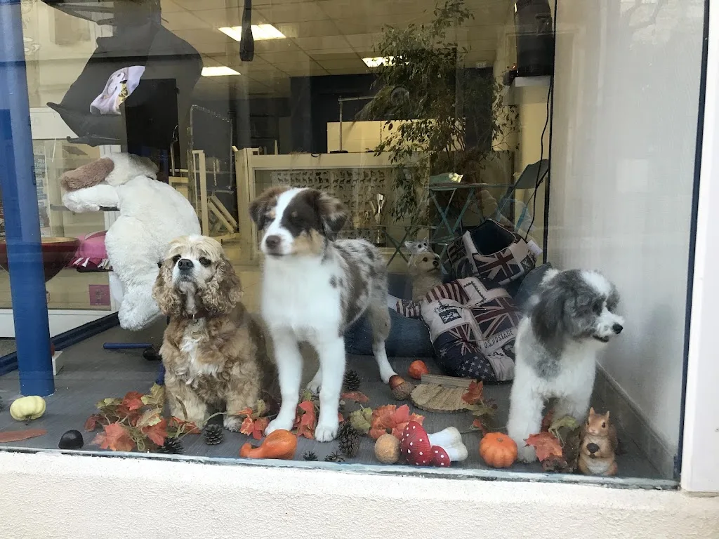 Au Bonheur des Chiens - photo 2