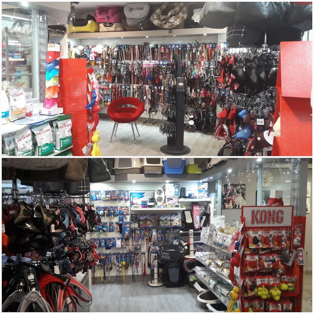La boutique du chien - photo 2