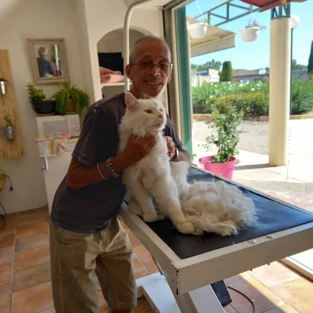 Mishka et Gali - photo 2